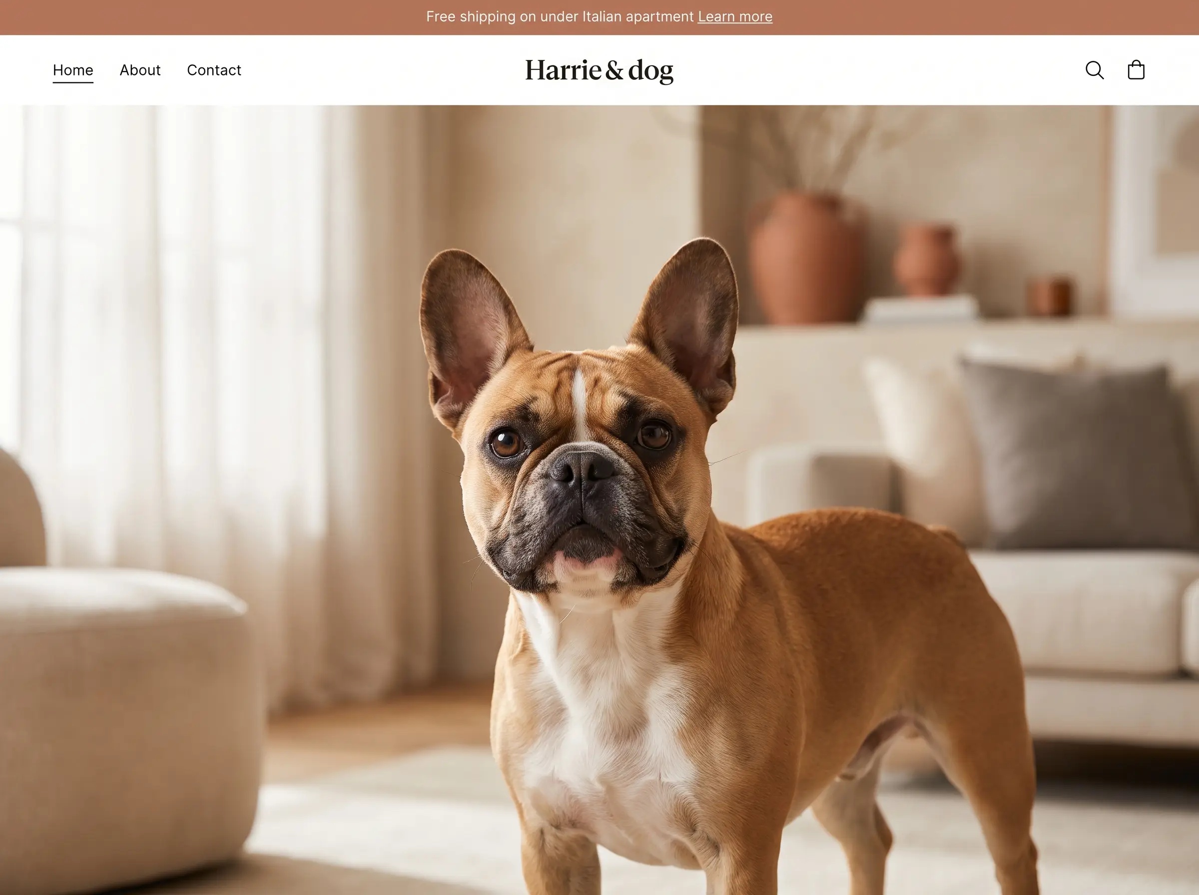 Bulldog Francese appena toelettato