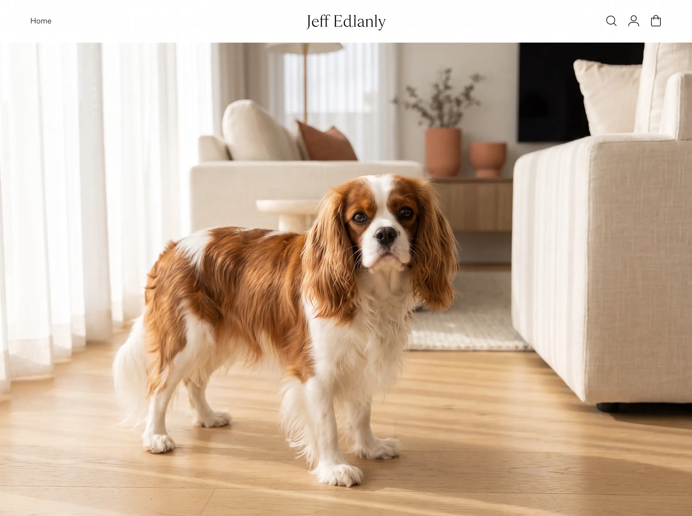 Cavalier King Charles Spaniel appena toelettato