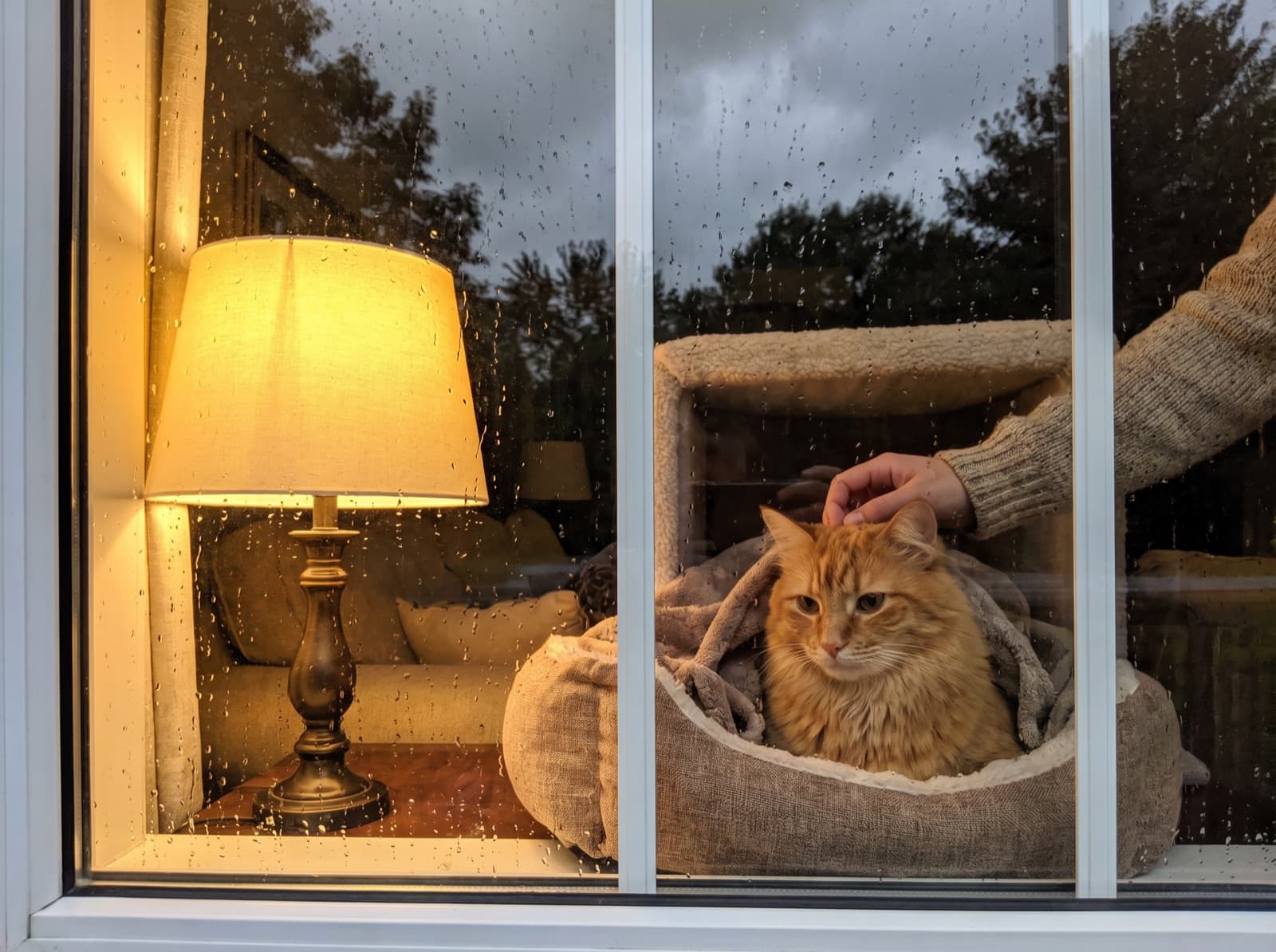 Gatto rifugiato in un angolo sicuro di casa durante un temporale
