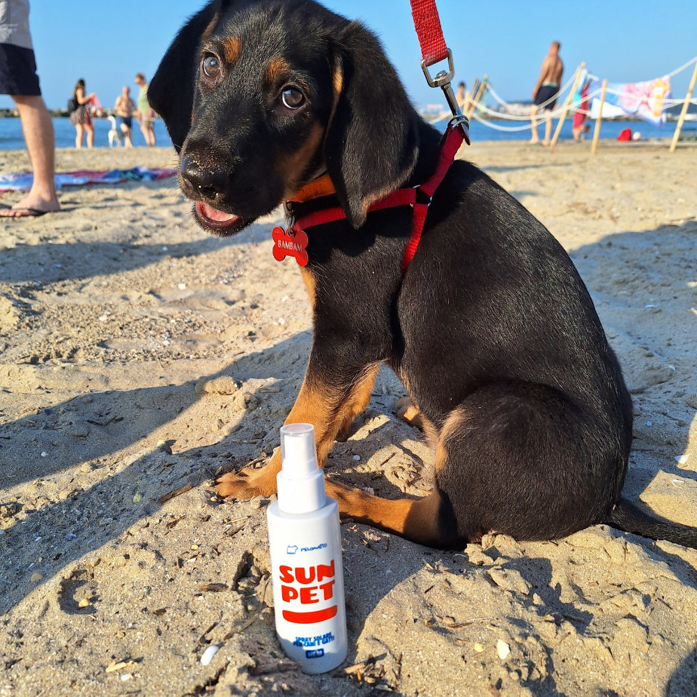 Spray Protezione Solare Per Cani e Gatti