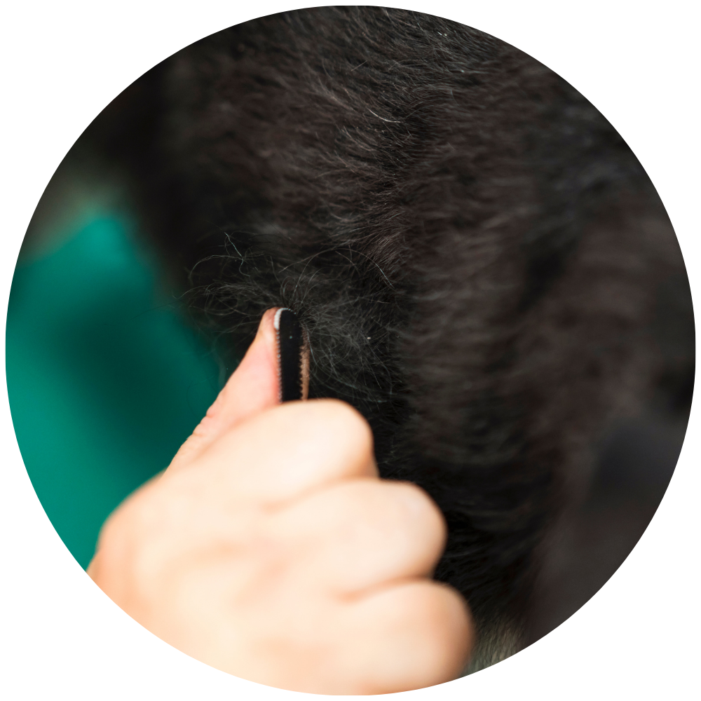 Alt image