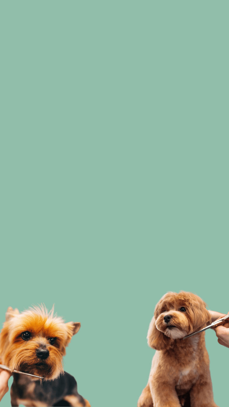 Alt image