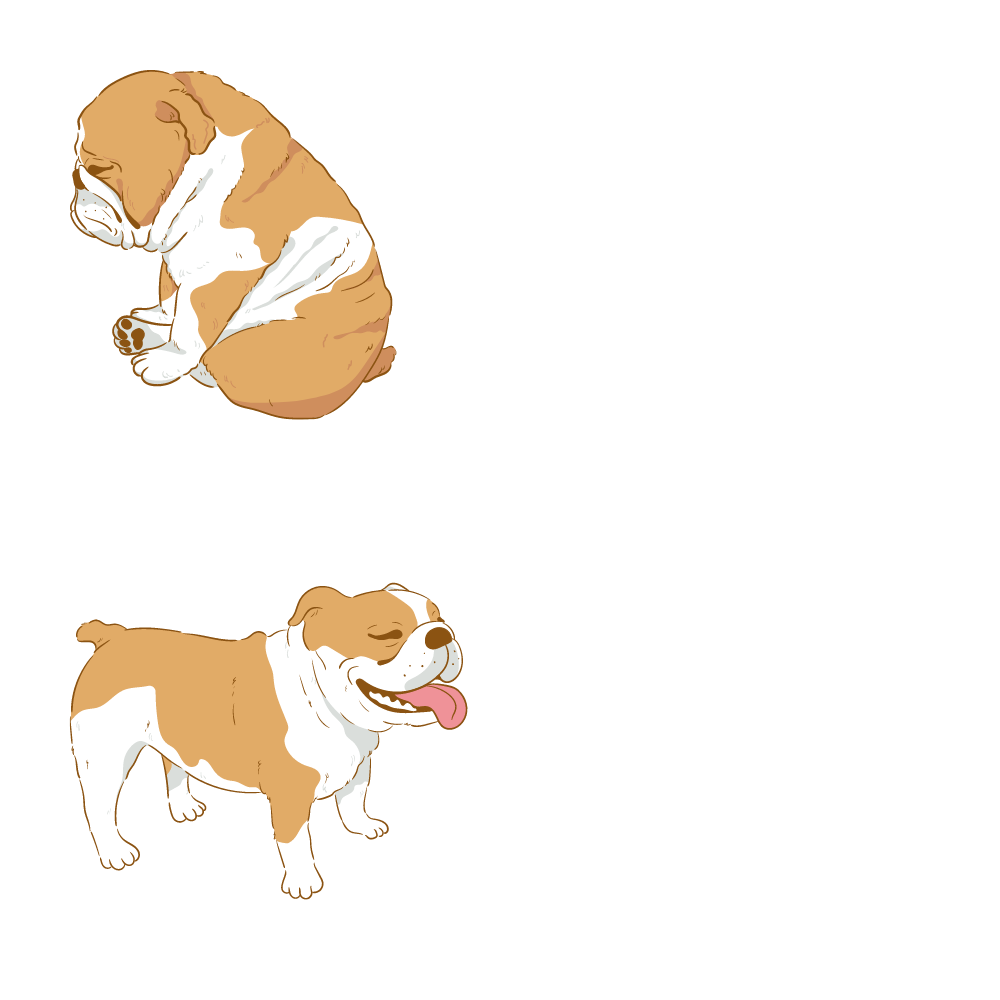 Meme cani corso toelettatura